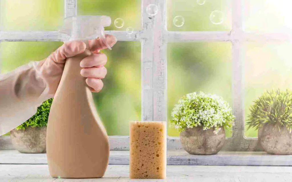 Limpieza de primavera: aquí está qué y cómo limpiar la casa absolutamente – Mis Consejos Jardinería