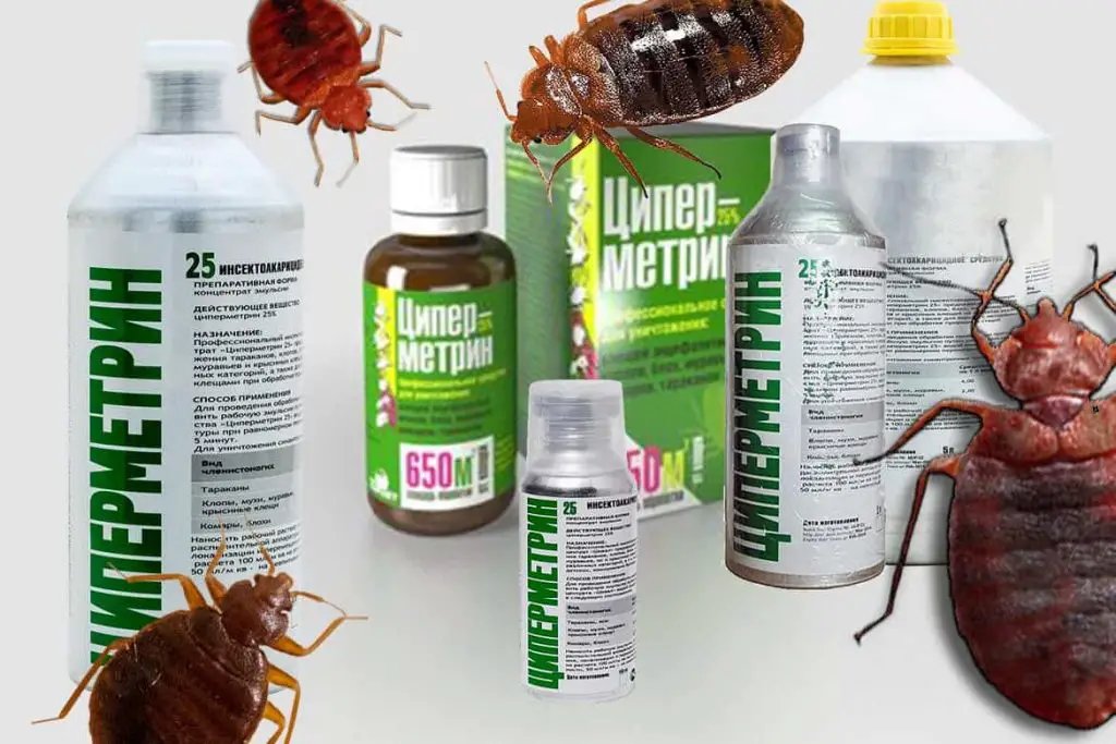 Los 3 mejores insecticidas caseros – Mis Consejos Jardinería