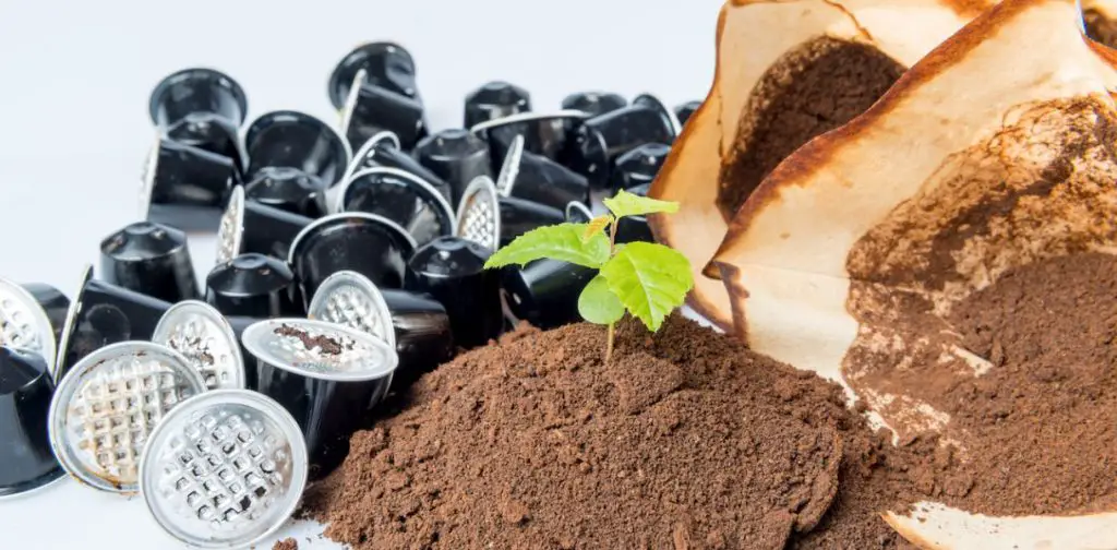 Los posos de café, un aliado insospechado. ¡Descubre 8 usos sorprendentes! – Mis Consejos Jardinería