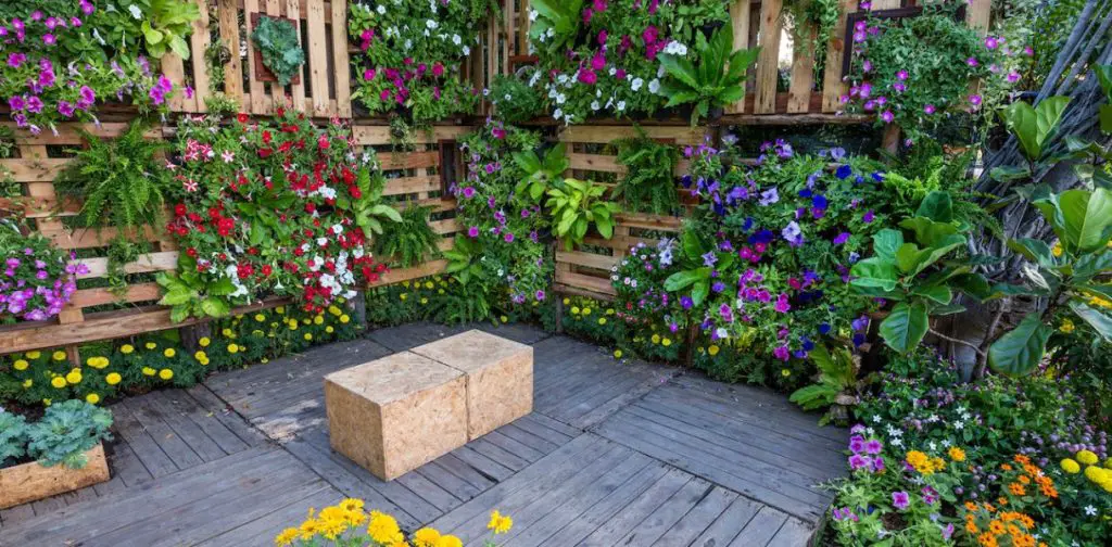Los secretos para crear un jardín vertical exitoso en 4 pasos – Mis Consejos Jardinería