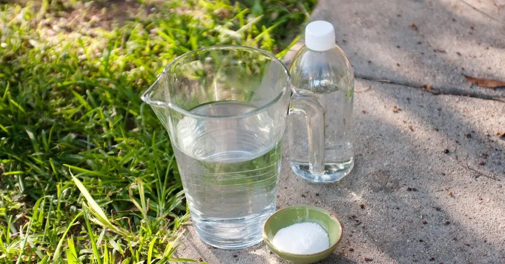 Malas hierbas: 10 consejos para eliminarlas de forma natural – Mis Consejos Jardinería