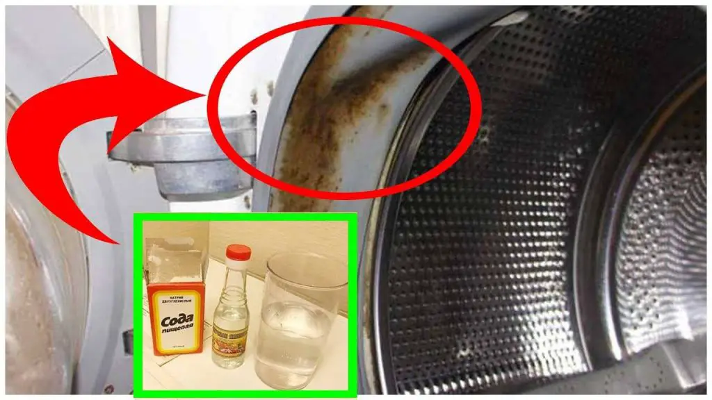 Medio vaso de este ingrediente te ayudará a eliminar la cal y los malos olores de tu lavadora – Mis Consejos Jardinería