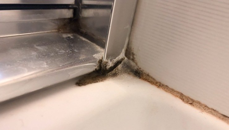 Moho en las esquinas de la ducha.