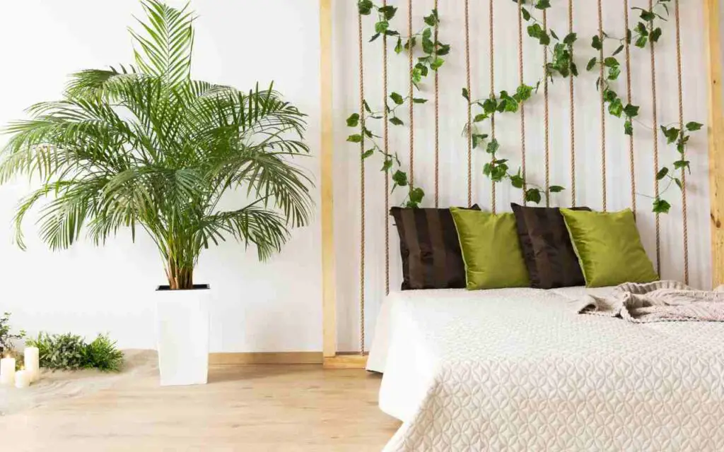Nadie lo sabe, pero estas son las mejores plantas para poner en el dormitorio – Mis Consejos Jardinería
