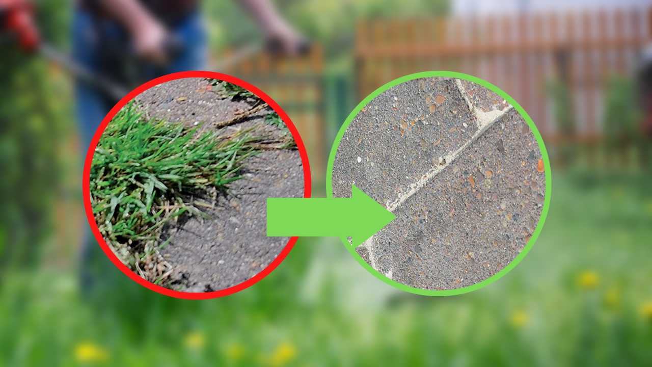 malas hierbas del jardín