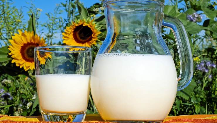 Leche fresca