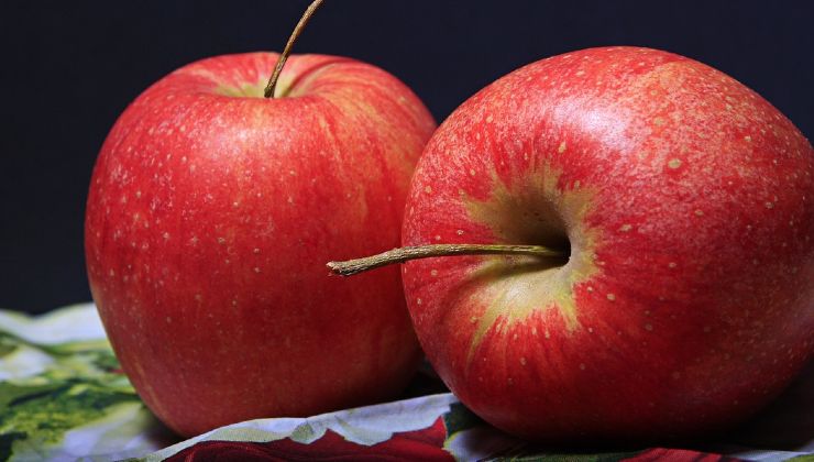 La manzana como fertilizante