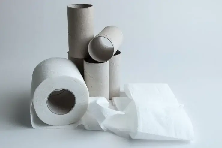 Papel higiénico: ¡no lo uses más! ¡La razón importante por la que muchas personas ya están haciendo esto! – Mis Consejos Jardinería