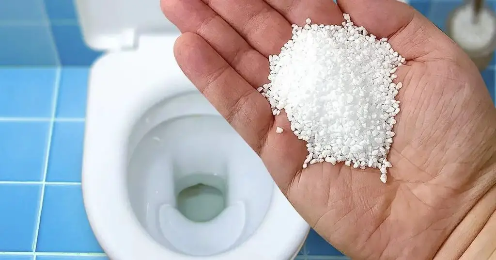 Para un baño siempre limpio y nunca atascado: aquí está el secreto de las amas de casa experimentadas – Mis Consejos Jardinería