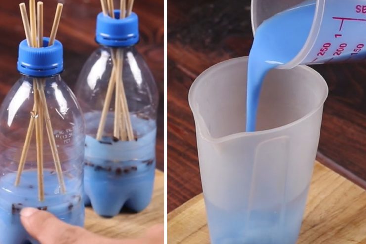 Perfuma tu hogar y te libera de moscas y mosquitos: ¡necesitas muy poco! – Mis Consejos Jardinería