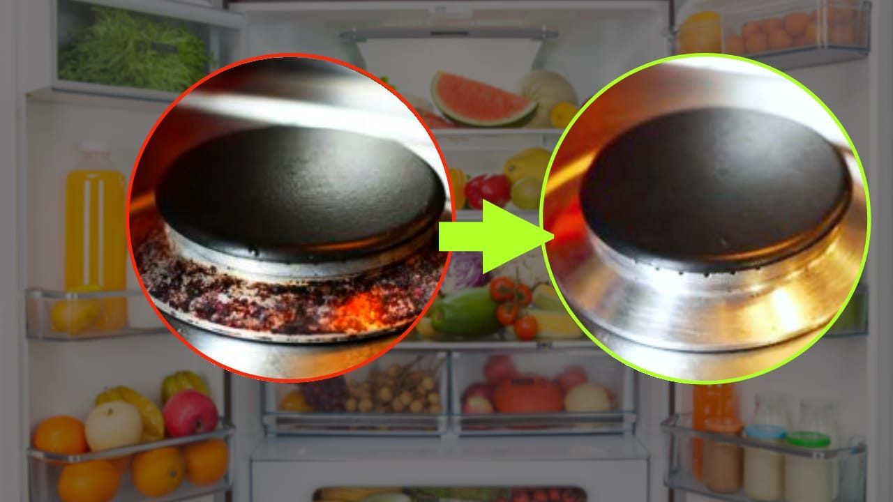 platos de limpieza