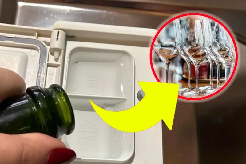 Platos y vasos aburridos en el lavavajillas, ese es el truco. ¡Quedarán como nuevos! – Mis Consejos Jardinería
