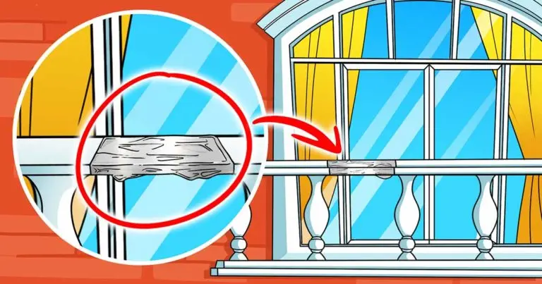 Pon papel de aluminio en el balcón: te librarás de este problema para siempre – Mis Consejos Jardinería