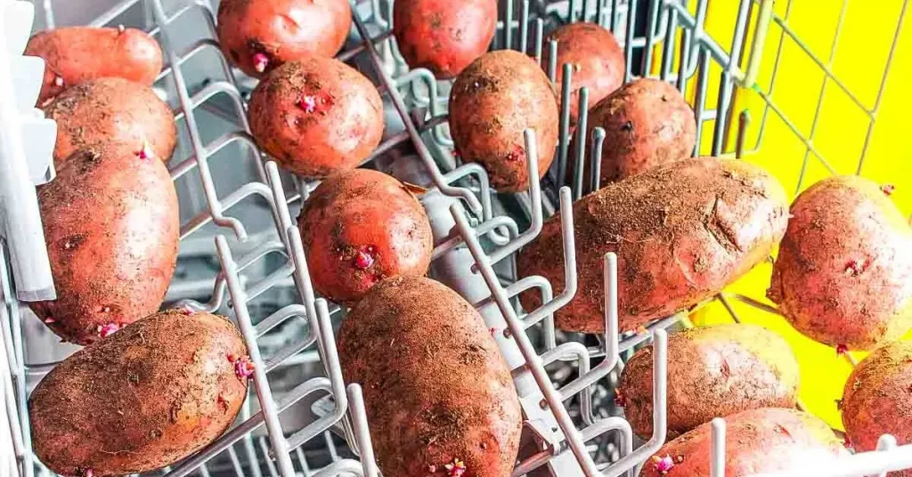 Pon patatas en el lavavajillas: el truco genial que te hace la vida más fácil – Mis Consejos Jardinería