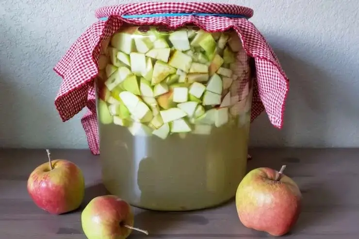 Pongo las manzanas en agua hirviendo y ya no gasto 1 centavo. ¡Eso es lo que solía hacer mi abuela! – Mis Consejos Jardinería