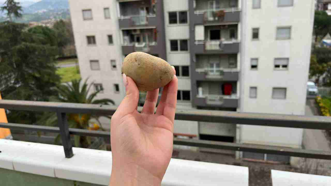 papas en el balcon