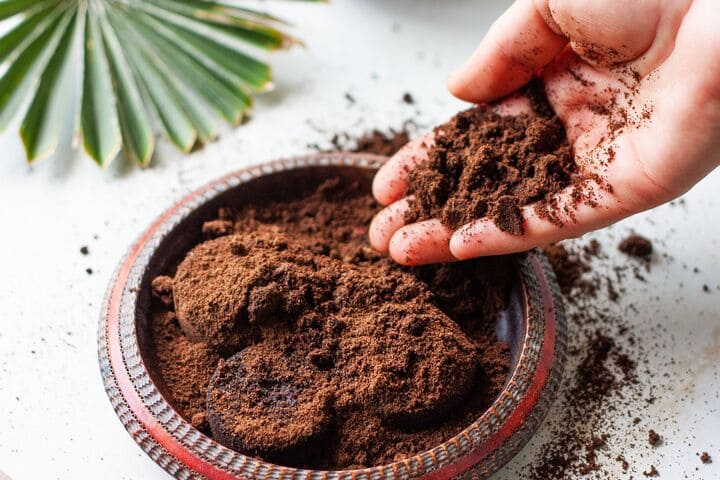 Granos de café