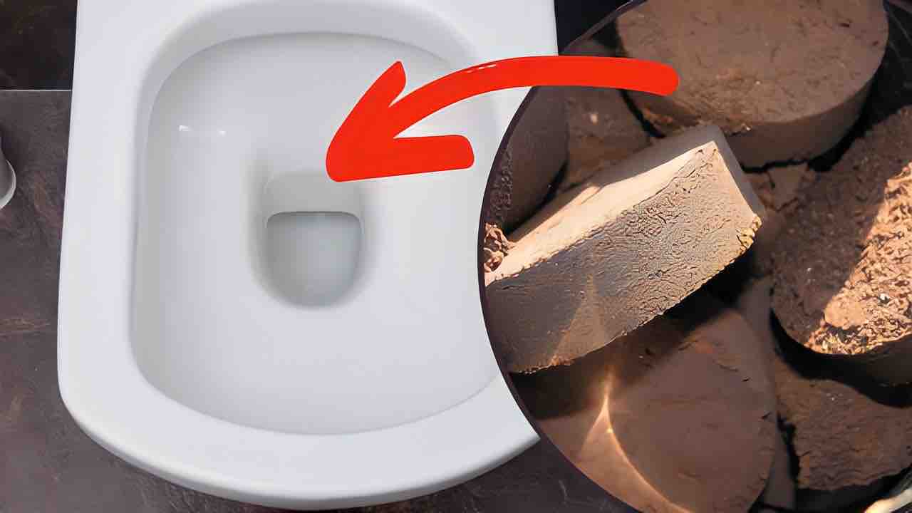 Granos de café