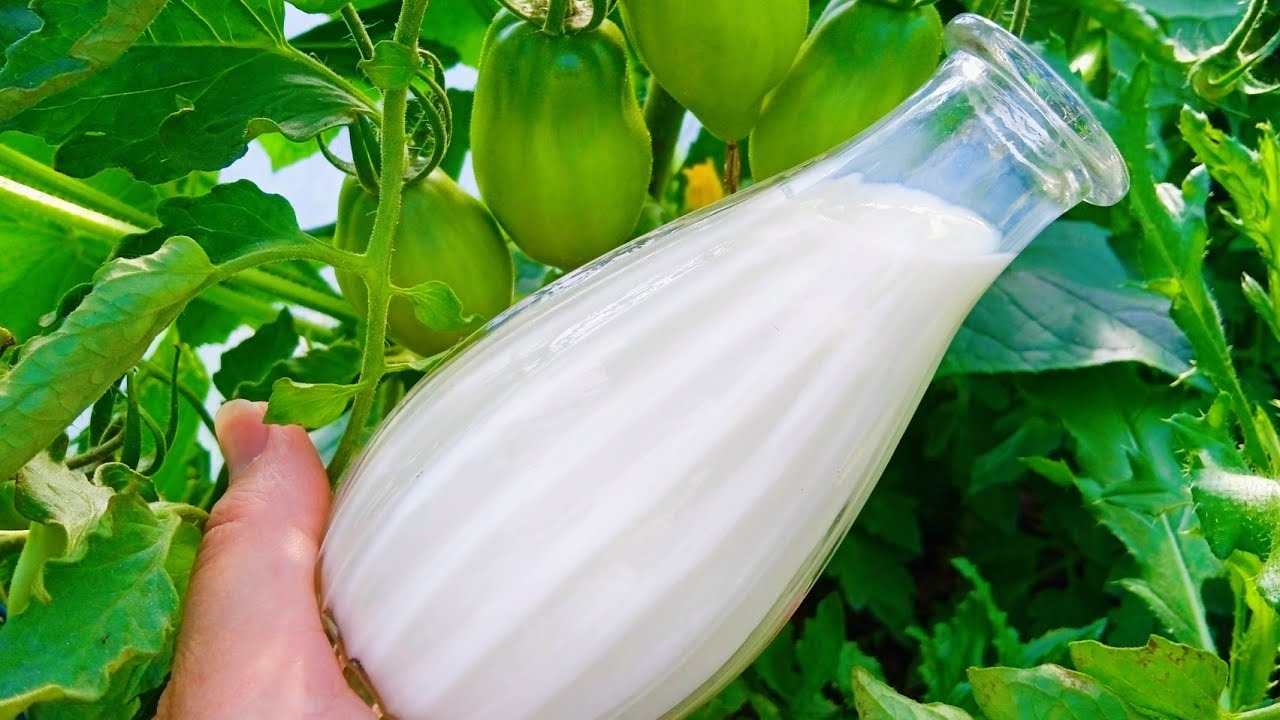 Suplemento orgánico