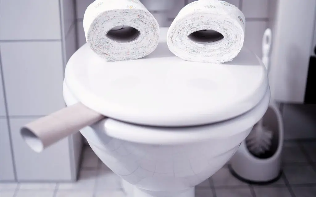 Pourquoi les toilettes sont-elles toujours de couleur blanche ? Pour une raison crucial – Mis Consejos Jardinería