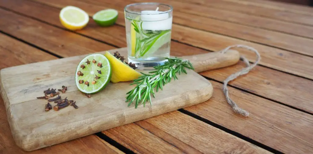 Repelente de mosquitos natural: ¡Descubre la asombrosa eficacia de estas 5 plantas! – Mis Consejos Jardinería