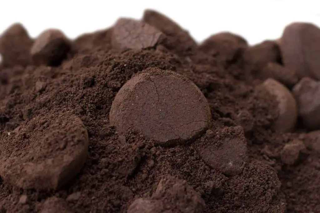 Reutilice los posos de café para sus plantas inmediatamente: cómo y por qué hacerlo – Mis Consejos Jardinería