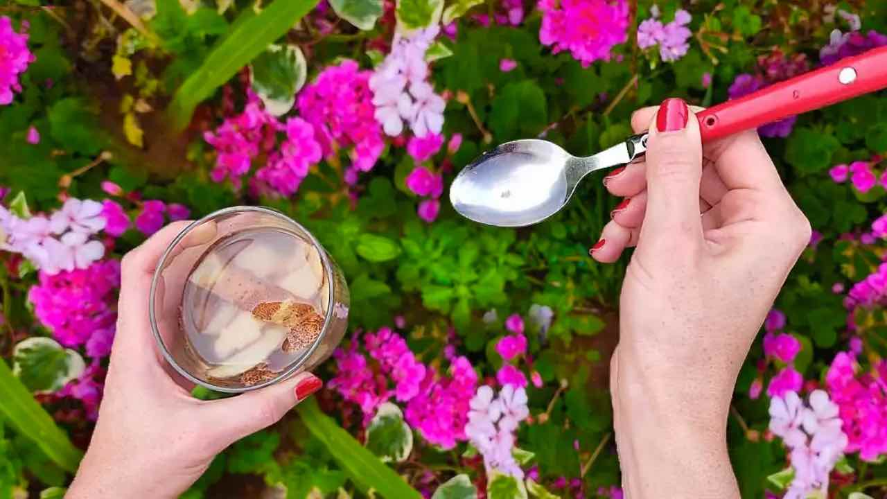ingrediente en las plantas