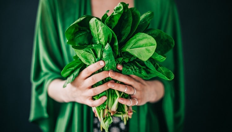 Vegetales de hoja verde