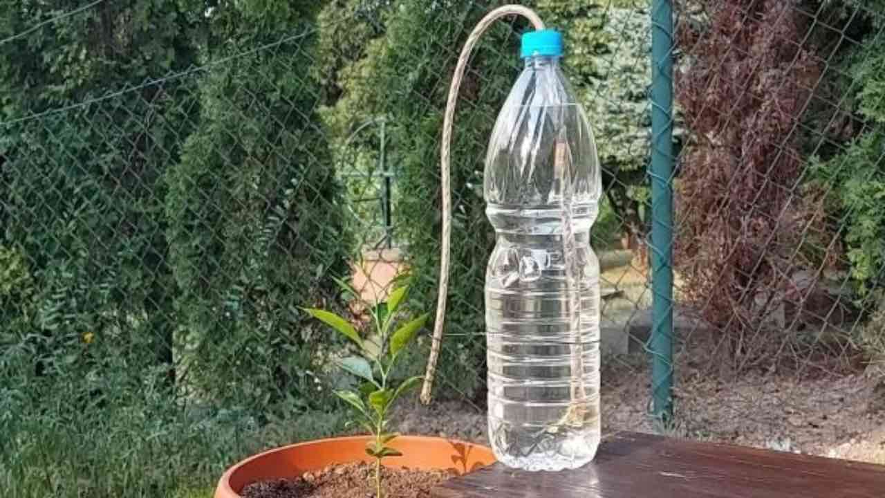Sistema de riego