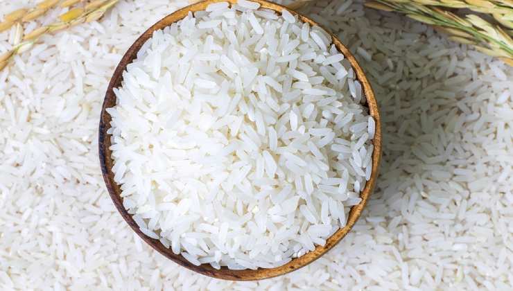 Arroz para fertilizante