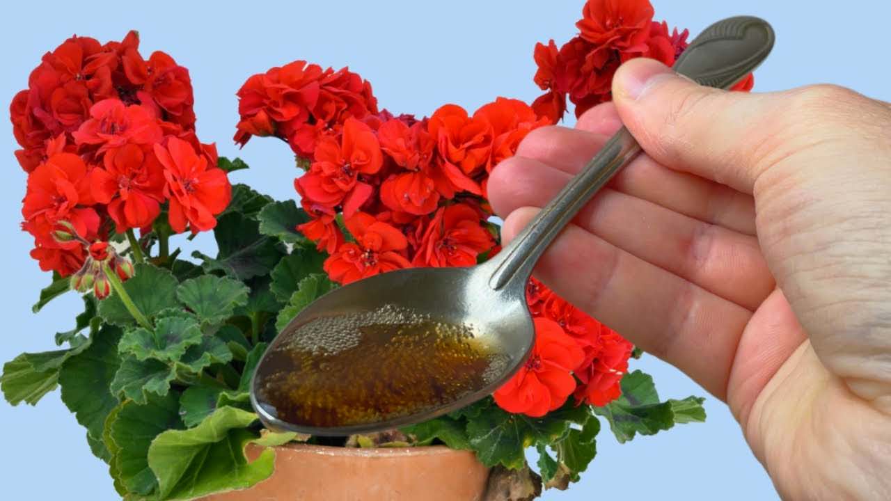Líquido floral
