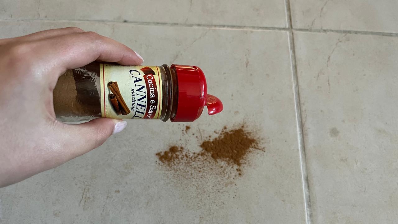 canela en el suelo