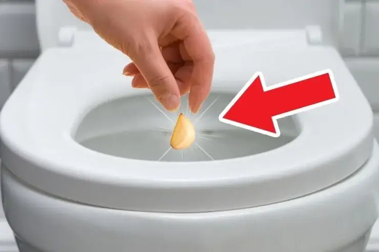 Tira un diente de ajo por el inodoro: el truco de la abuela que te resuelve ese horrendo problema. ¡Resultados increíbles al día siguiente!