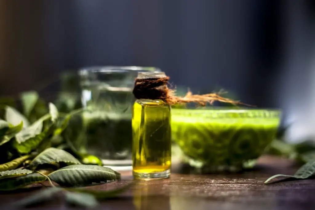 Todo el mundo está loco por este antiácaros natural: así es como se hace – Mis Consejos Jardinería
