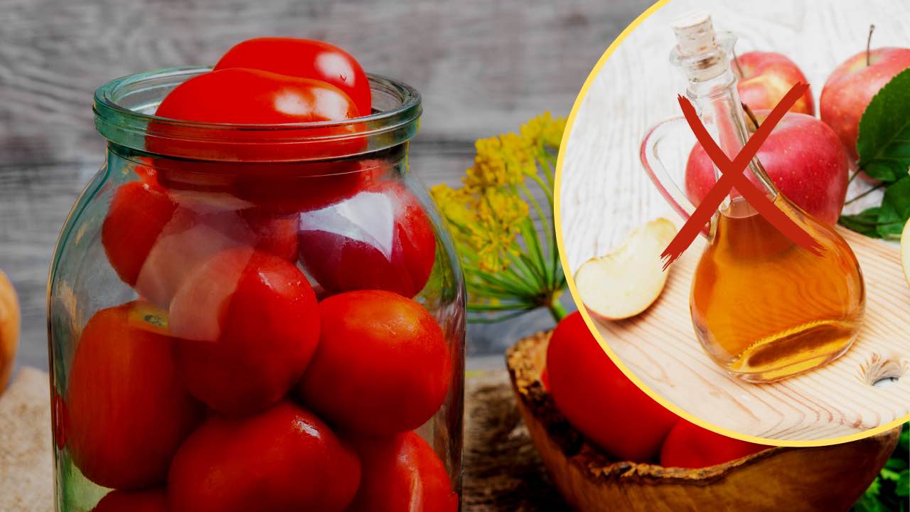 tomates frescos
