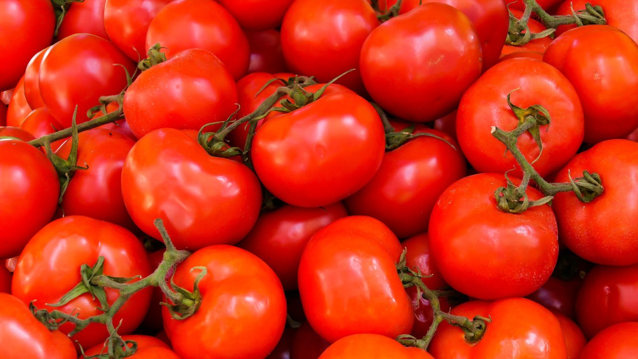 Cómo almacenar tomates durante mucho tiempo.