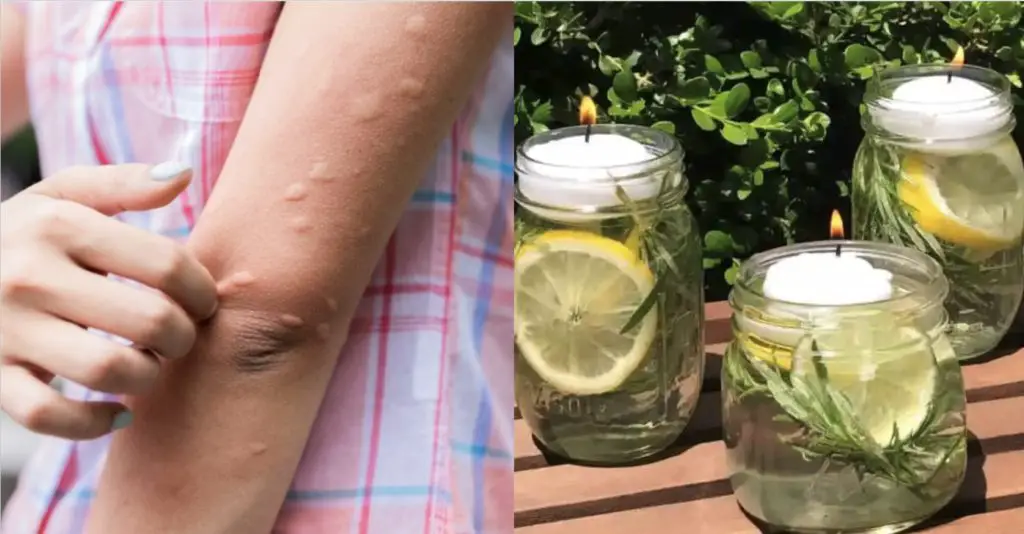 Velas con aroma cítrico: ideas de bricolaje para decorar tu hogar – Mis Consejos Jardinería