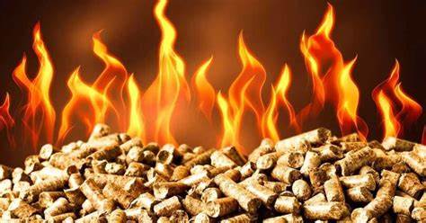 Ventajas y desventajas del pellet de madera: una forma sencilla de calentar sin gas ni electricidad – Mis Consejos Jardinería