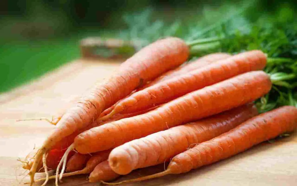 Zanahorias: aquí se explica cómo sembrarlas y cultivarlas en el alféizar de la ventana en abril, la guía – Mis Consejos Jardinería
