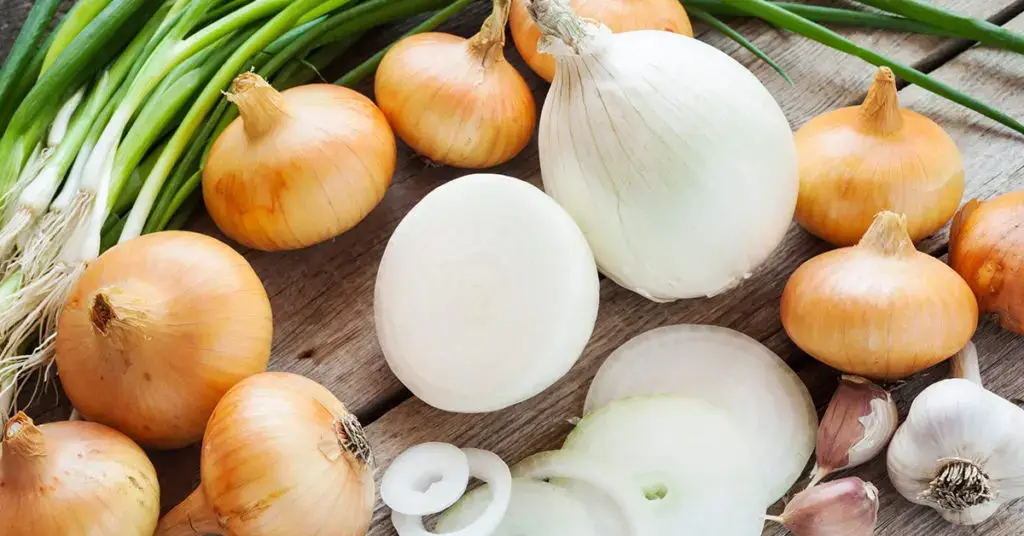Zumo de cebolla: un insecticida natural para eliminar pulgón, orugas y cochinillas – Mis Consejos Jardinería