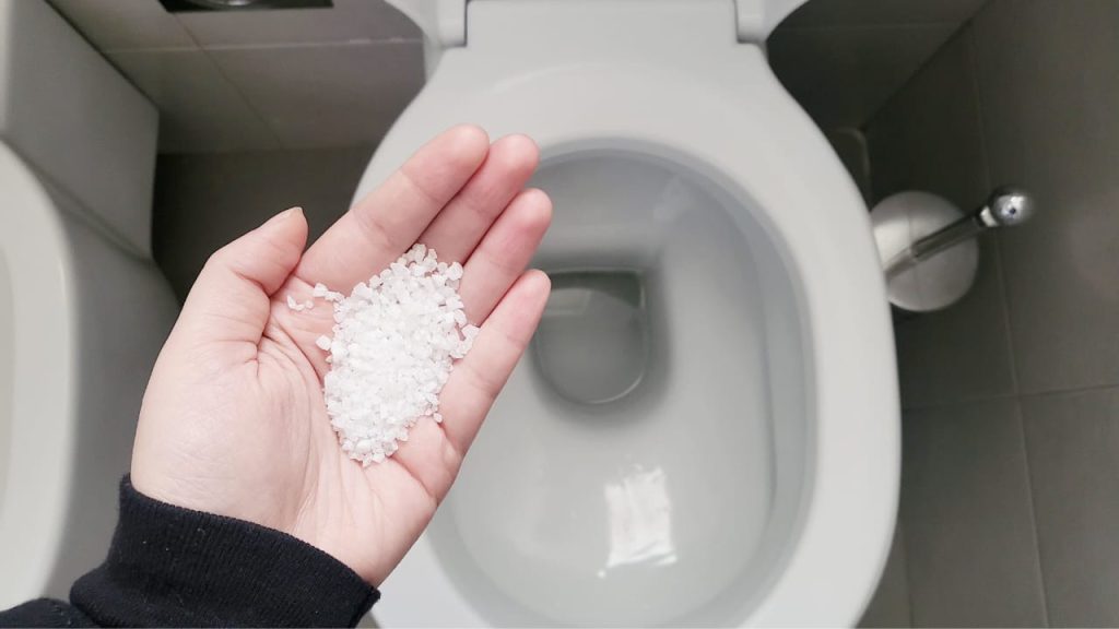 tire la sal gruesa por el inodoro : el consejo de los plomeros – Mis Consejos Jardinería