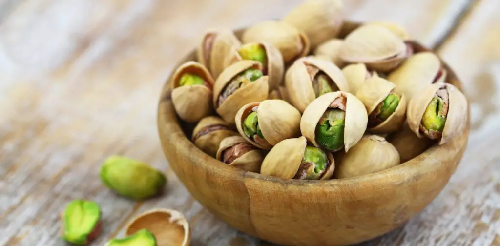 ¡Germinar pistachos del supermercado es posible! Aquí se explica cómo obtener un árbol de pistacho en casa. – Mis Consejos Jardinería