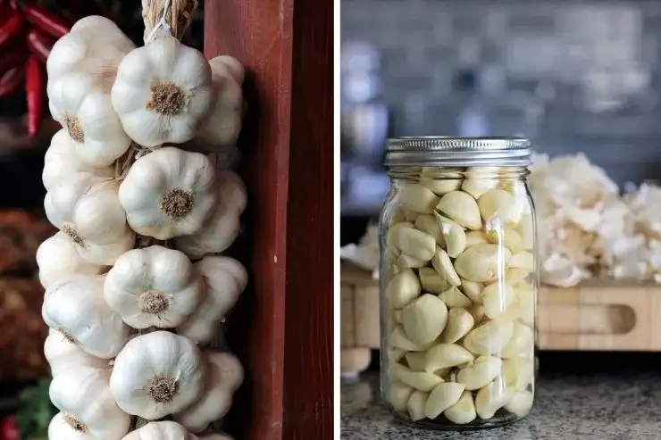 ¡Mi abuela me enseñó a hacer ajo fermentado y lo hago todo el tiempo! ¡Me ha salvado en muchas ocasiones! – Mis Consejos Jardinería