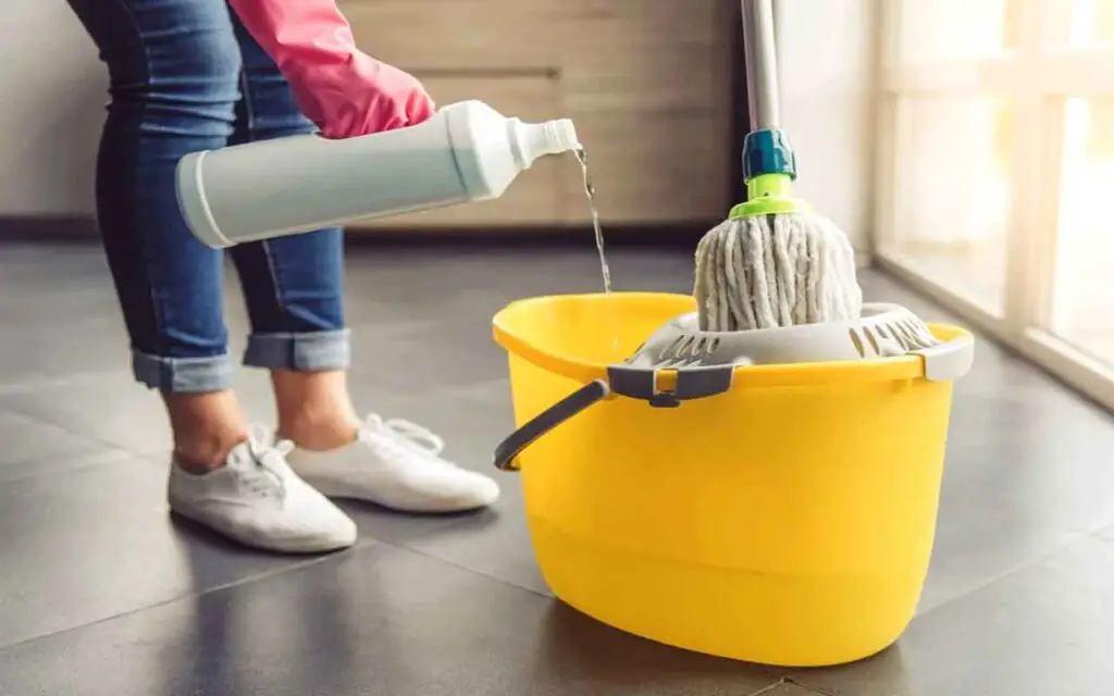 ¡NUNCA haga estas cosas en la casa con lejía! eso es lo que – Mis Consejos Jardinería