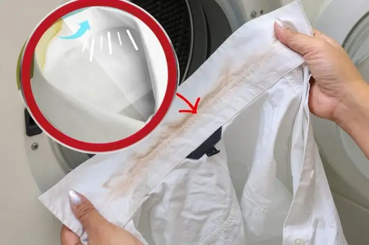 ¡Te contaré el truco infalible de mi abuela para obtener cuellos de camisa inmaculados! – Mis Consejos Jardinería