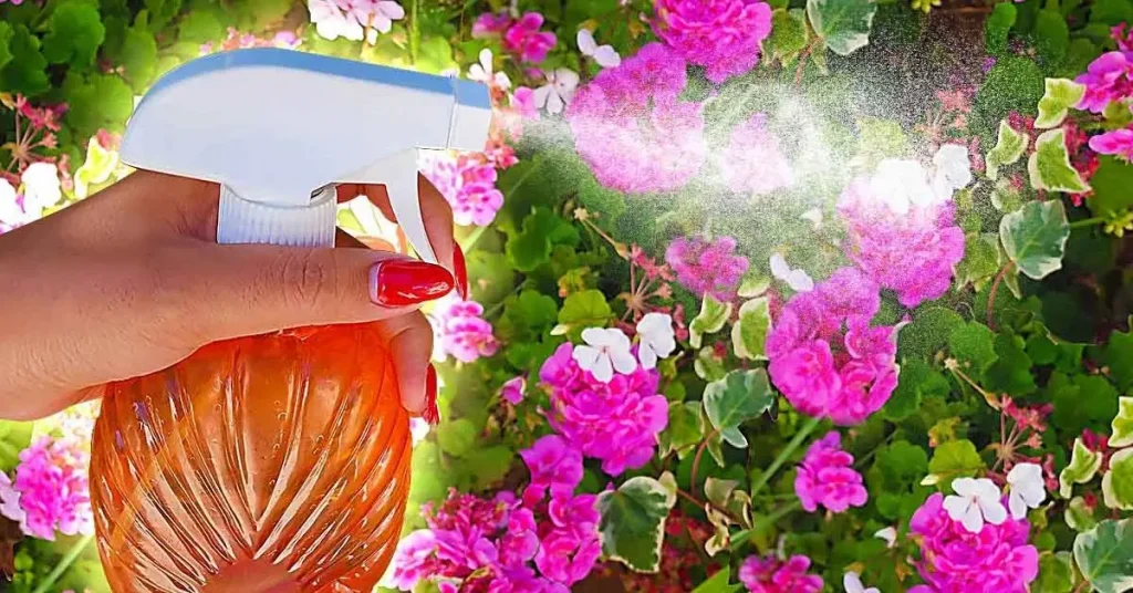 ¿Cómo deshacerse de las plagas que invaden las plantas? Solo usa ese producto que tienes en casa – Mis Consejos Jardinería