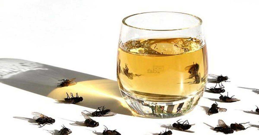 ¿Cómo deshacerse de los insectos con productos naturales?