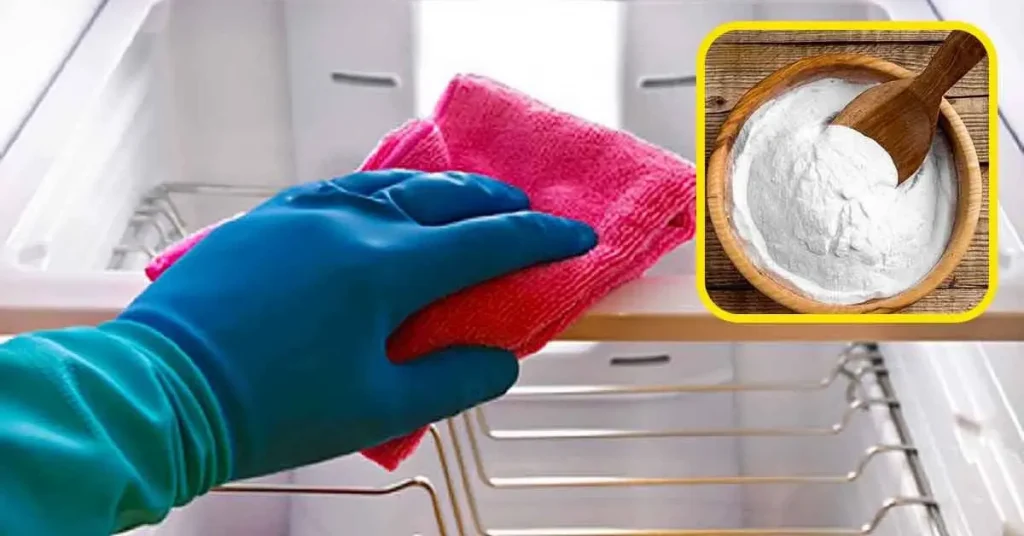 ¿Cómo deshacerse del olor desagradable del refrigerador? 5 remedios esenciales – Mis Consejos Jardinería
