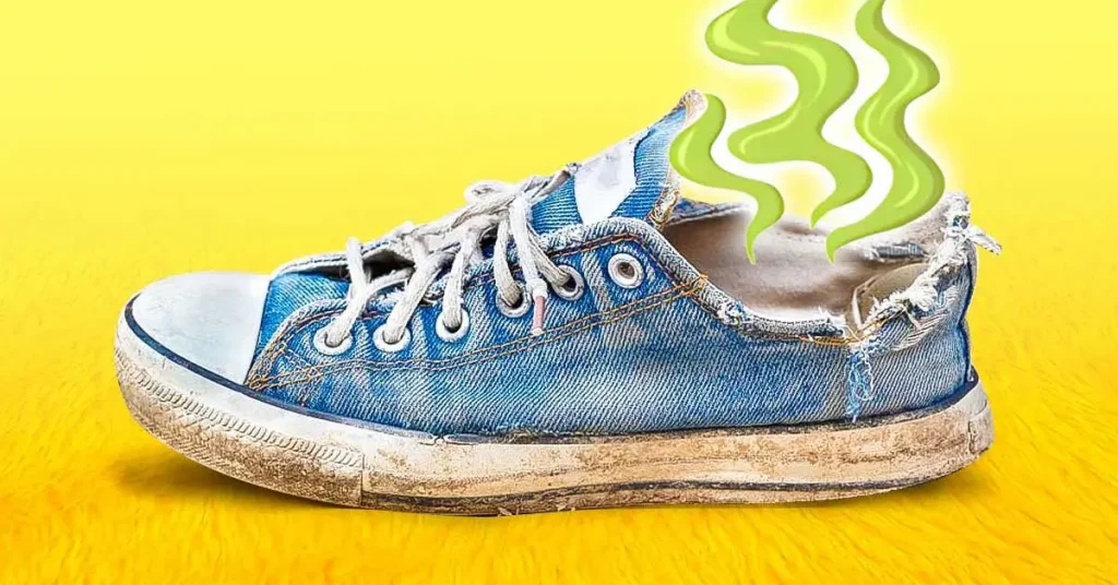 ¿Cómo desodorizar rápidamente los zapatos y combatir los malos olores? – Mis Consejos Jardinería