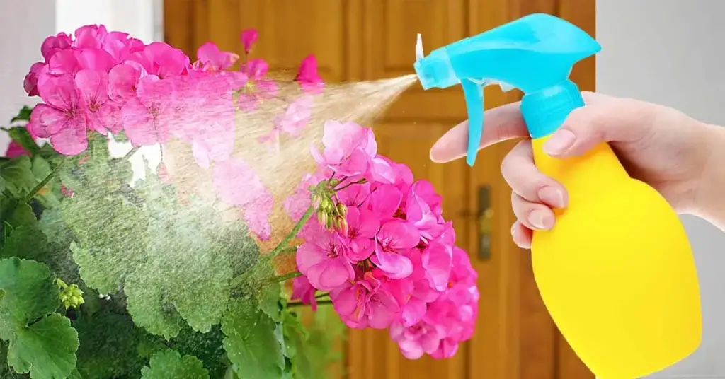 ¿Cómo eliminar las hormigas y cochinillas que asolan las plantas? – Mis Consejos Jardinería